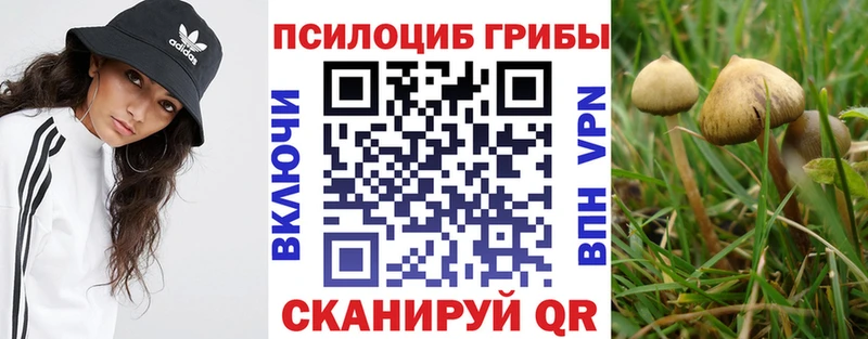мега ссылки Кимовск Псилоцибиновые грибы Cubensis