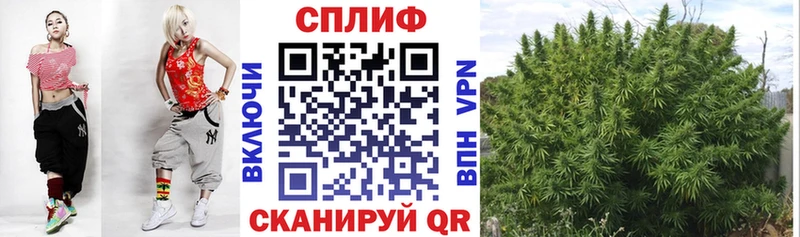 Бошки Шишки гибрид  Кимовск 